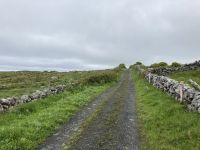 8. Reisetag – Wanderung im Burren vom Ballinalacken Castle nach Fanore