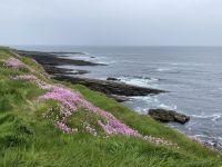 5. Reisetag – Wanderung um die Halbinsel Mullaghmore