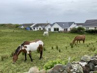 5. Reisetag – Wanderung um die Halbinsel Mullaghmore