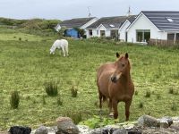 5. Reisetag – Wanderung um die Halbinsel Mullaghmore