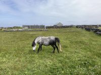 6. Reisetag – Wanderung auf den Aran Islands