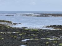 6. Reisetag – Wanderung auf den Aran Islands – Mittagspause an der Robbenkolonie