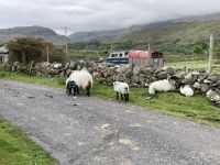 7. Reisetag – Fotostopp am Rosroe Pier