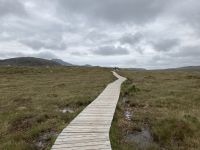 7. Reisetag – Wanderung im Connemara-Nationalpark auf den Diamond Hill