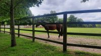 209 – Irland, National Stud, Kildare
