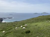 10. Reisetag – Ring of Kerry – Blick vom Coomakista Pass