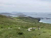 10. Reisetag – Ring of Kerry – Blick vom Coomakista Pass