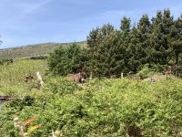 10. Reisetag – Ring of Kerry – Zusatzwanderung zum Derrynane Beach