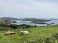 10. Reisetag – Ring of Kerry – Zusatzwanderung zum Derrynane Beach