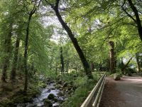 10. Reisetag – Ring of Kerry – Spaziergang vom Torc Waterfall zum Muckross House