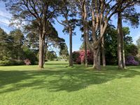 10. Reisetag – Ring of Kerry – Spaziergang vom Torc Waterfall zum Muckross House