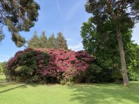 10. Reisetag – Ring of Kerry – Spaziergang vom Torc Waterfall zum Muckross House