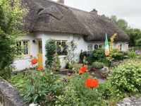 11. Reisetag – Adare – Strohgedeckte Cottages