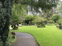 11. Reisetag – Irish National Stud – Irisches Nationalgestüt bei Kildare – Japanischer Garten