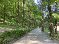 12. Reisetag – Wanderung in Glendalough