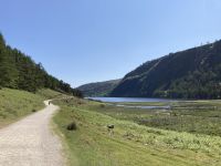 12. Reisetag – Wanderung in Glendalough