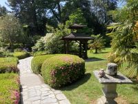 12. Reisetag – Powerscourt House & Gardens – Japanischer Garten