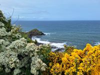 Giants Causeway
