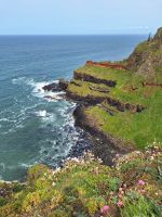 Giants Causeway