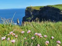 Cliffs of Moher