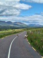 Ring of Kerry