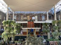 1. Reisetag – Spaziergang durch Dublin – Powerscourt House