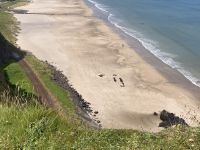 4. Reisetag – Tagesausflug nach Nordirland – Downhill Demesne & Mussenden Temple – Blick zum Strand von Downhill