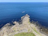 4. Reisetag – Tagesausflug nach Nordirland – Am Giant’s Causeway