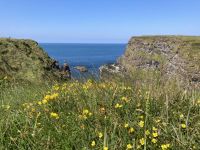 4. Reisetag – Tagesausflug nach Nordirland – Zusatzwanderung vom Causeway zum Golfclub