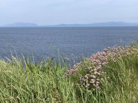 5. Reisetag – Wanderung um die Halbinsel Mullaghmore – Blick zu den Klippen von Sleave League