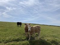 5. Reisetag – Wanderung um die Halbinsel Mullaghmore