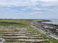 6. Reisetag – Wandern auf den Aran Islands