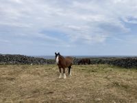 6. Reisetag – Wandern auf den Aran Islands