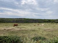 6. Reisetag – Wandern auf den Aran Islands