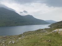 7. Reisetag – Fotostopp am Rosroe Pier