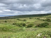 8. Reisetag – Ausflug in den Burren und zu den Klippen – Wanderung auf dem Burren Way