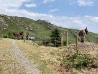 10. Reisetag – Ring of Kerry – Zusatzwanderung zum Derrynane Beach