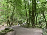 10. Reisetag – Ring of Kerry – Killarney-Nationalpark – Spaziergang vom Torc Waterfall zum Muckross House