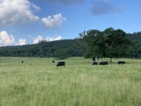 10. Reisetag – Ring of Kerry – Killarney-Nationalpark – Spaziergang vom Torc Waterfall zum Muckross House