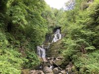 10. Reisetag – Ring of Kerry – Killarney-Nationalpark – Spaziergang vom Torc Waterfall zum Muckross House