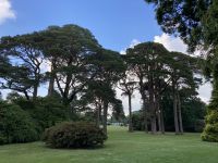 10. Reisetag – Ring of Kerry – Killarney-Nationalpark – Spaziergang vom Torc Waterfall zum Muckross House