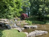 11. Reisetag – Von der West- an die Ostküste – Irisches Nationalgestüt – St Fiachra’s Garden