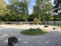 11. Reisetag – Von der West- an die Ostküste – Irisches Nationalgestüt – Japanischer Garten