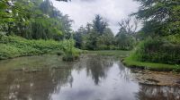 210 – Irland, National Stud, Kildare