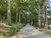 12. Reisetag – Ein Tag in den Wicklow Mountains – Wanderung in Glendalough