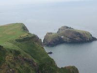  Blick zur Seilbrücke Carrick-a-rede-Bridge