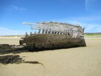  Wrack am Strand von Bunbeg