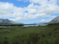  Connemara: graue Berge und grüne Torffelder