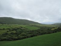  Blick zur Dingle- Bucht