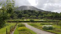 Kylemore Abbey & Gardens